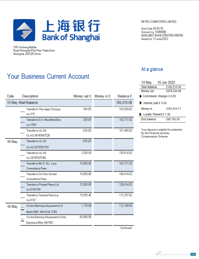 Download Bank of Shanghai firm account statement Word and PDF template Photoshop template